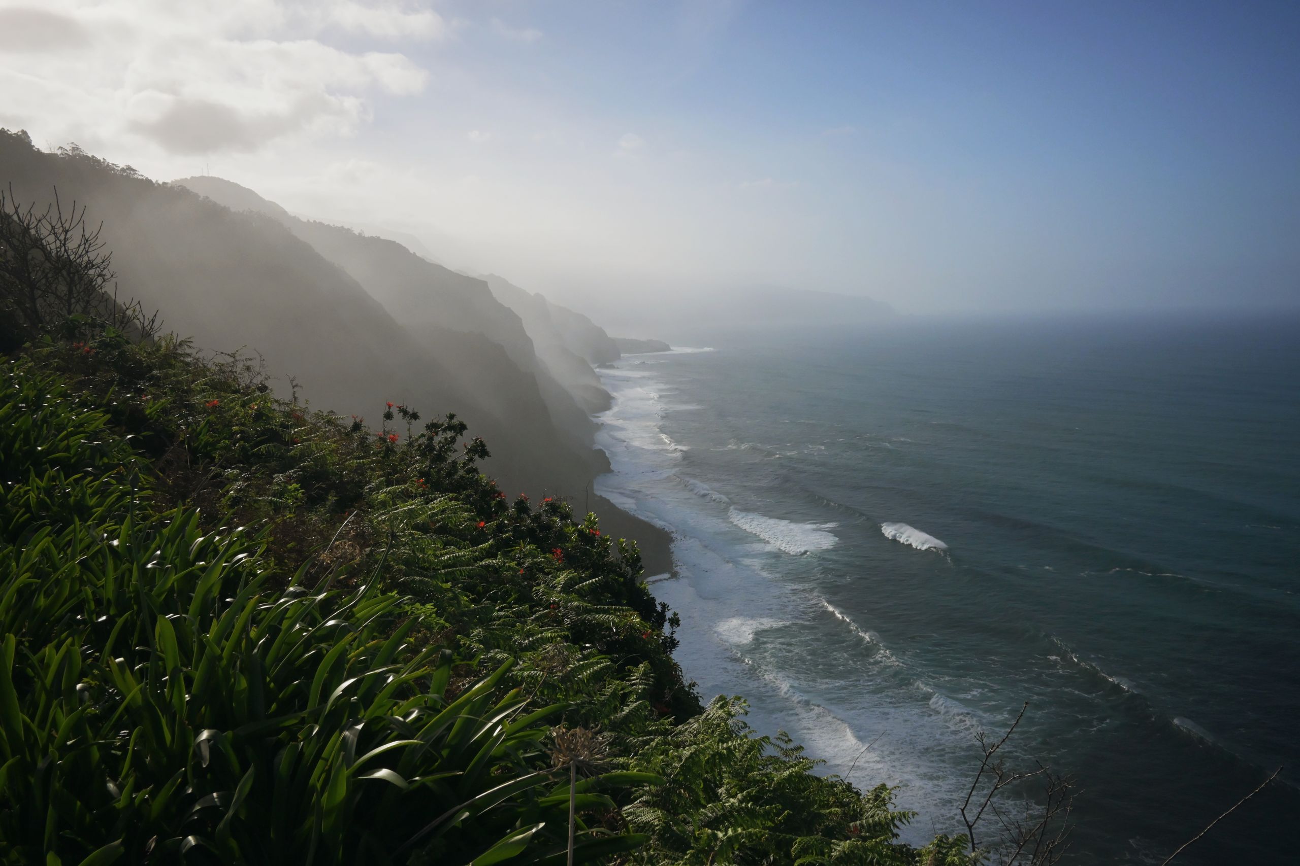 Explore the breathtaking cliffs and misty seascape of Madeira's Atlantic coast.